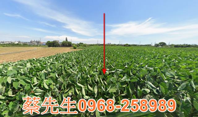 大甲法拍農地-1