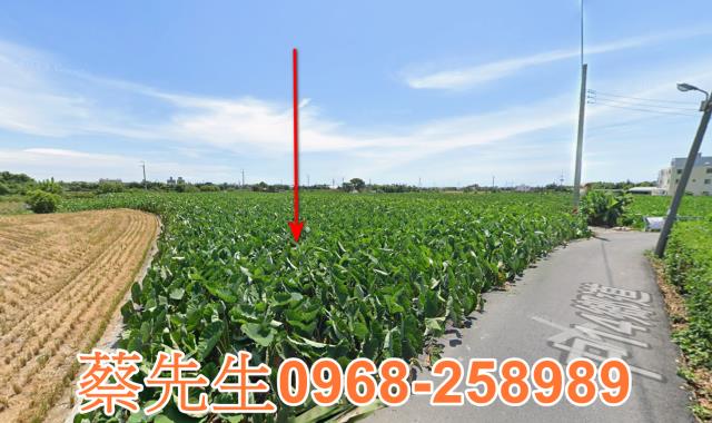 大甲法拍農地-4