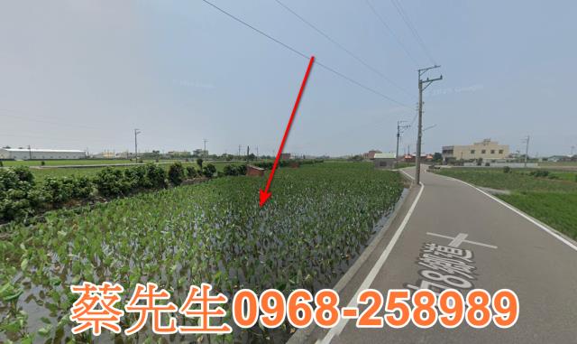 大安區農地法拍-12