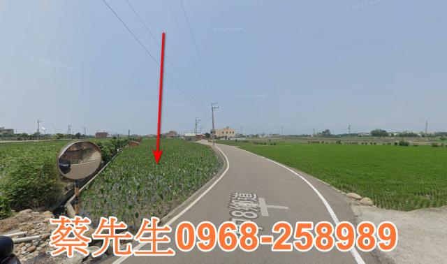 大安區農地法拍-13