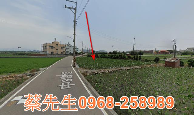 大安區農地法拍-15