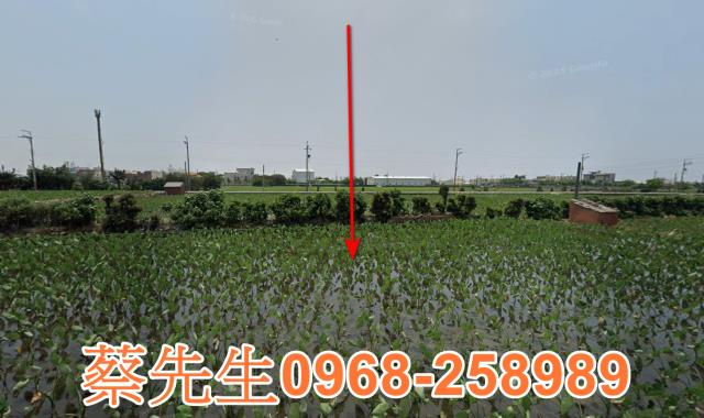 大安區農地法拍-1