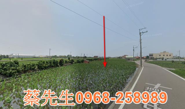 大安區農地法拍-13