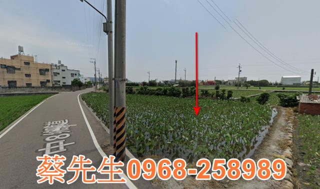 大安區農地法拍-14