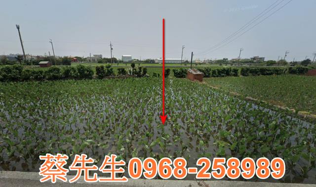 大安區農地法拍-1