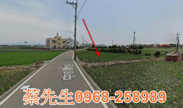 大安區農地法拍-7