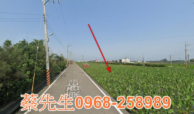 大安區拍賣農地-15