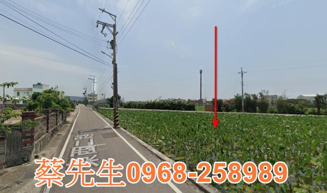 大安區法拍農地-14