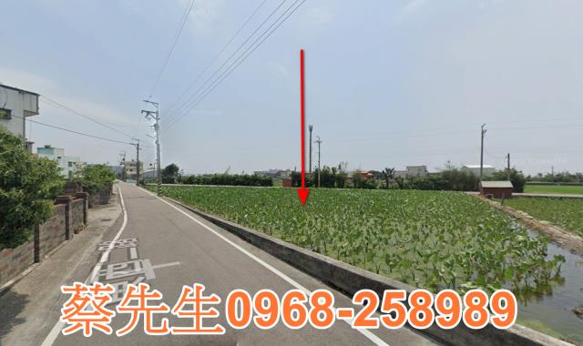 大安區法拍農地-15