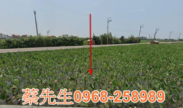 大安區法拍農地-1