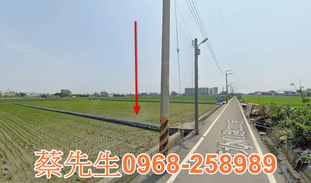 大安區法拍農地-13