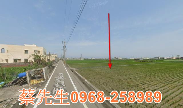 大安區法拍農地-14