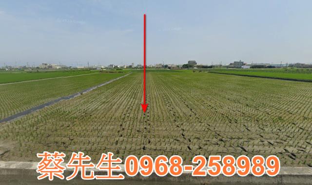 大安區法拍農地-1